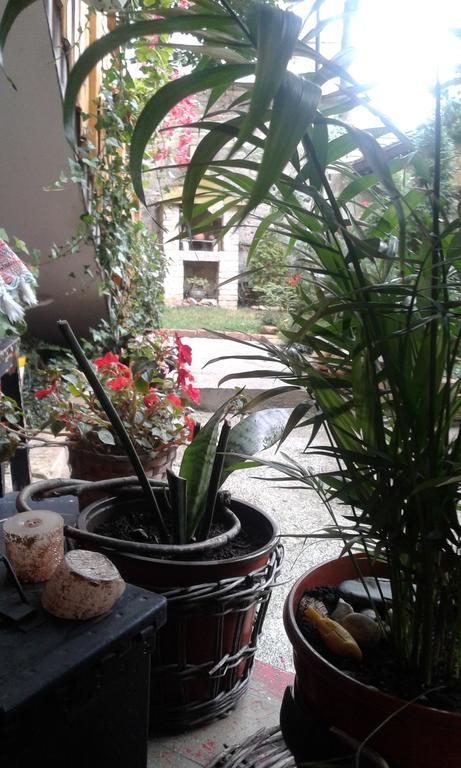 Apartment Centar SJJ Cameră foto